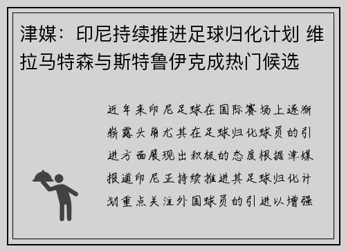 津媒：印尼持续推进足球归化计划 维拉马特森与斯特鲁伊克成热门候选
